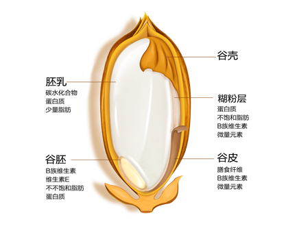 1498281295120416.jpg 8815826_220215.jpg